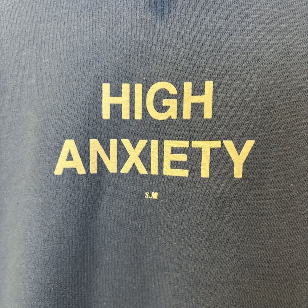 High Anxiety Blue Hoodie By Skim Milk Size Medium - Picture 2 of 8